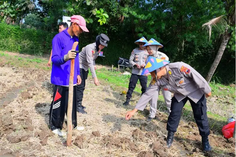 Polres Karanganyar Tanam Jagung di Lahan Baku Sawah Mojogedang