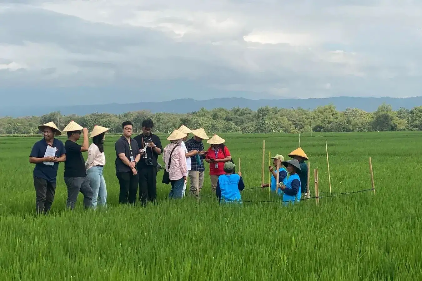 Petani Pojok Boyolali Kembangkan Beras Rendah Emisi Karbon Pakai Metode Ini