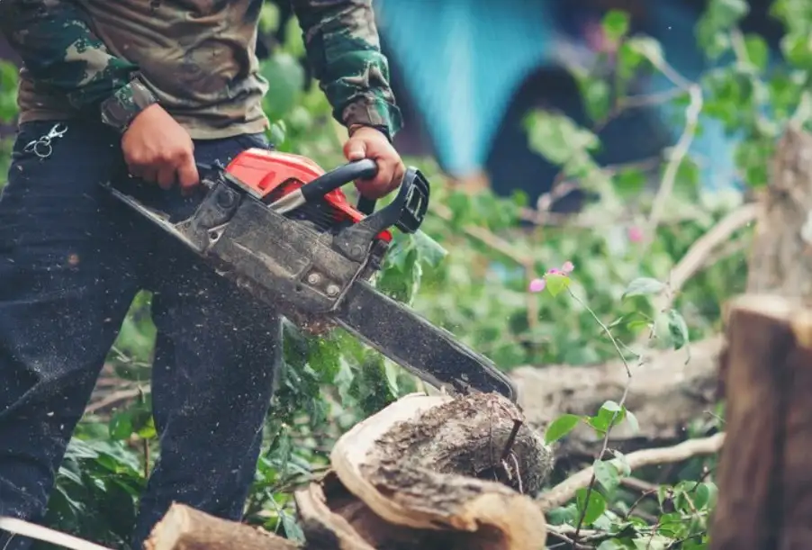 Terpergok Curi Kayu, 2 Warga Sragen Digelandang ke Mapolres
