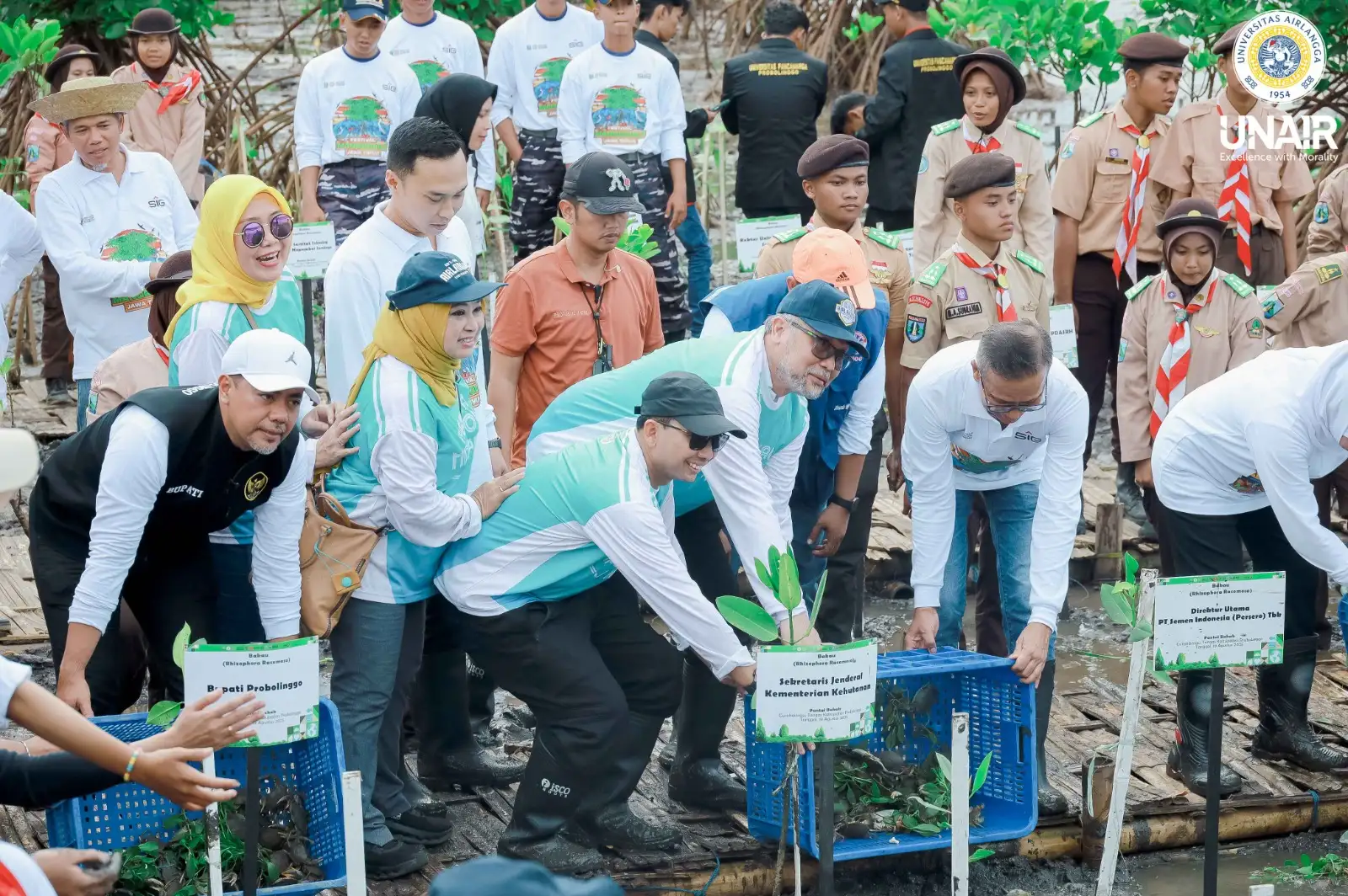 Festival Mangrove ke-VII, Civitas dan Alumni UNAIR Ambil Peran Wujudkan SDGs