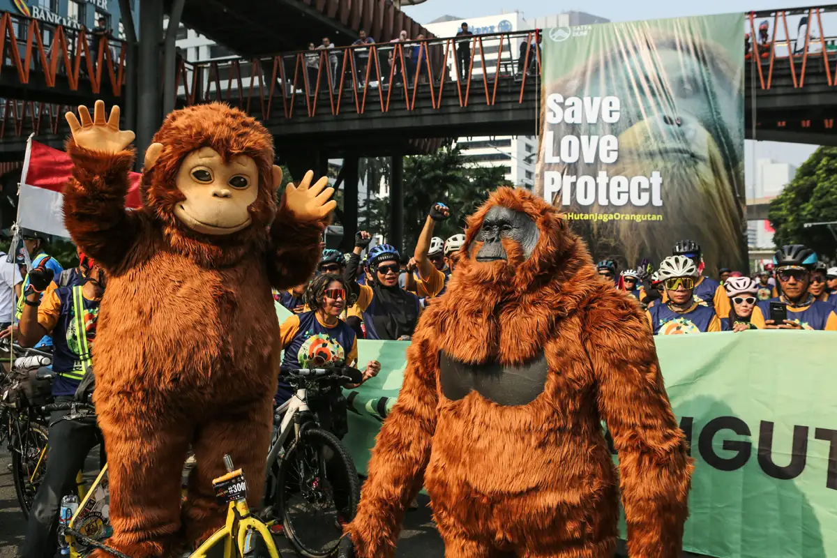 Aksi Aktivis Lingkungan Peringati Hari Orangutan Sedunia