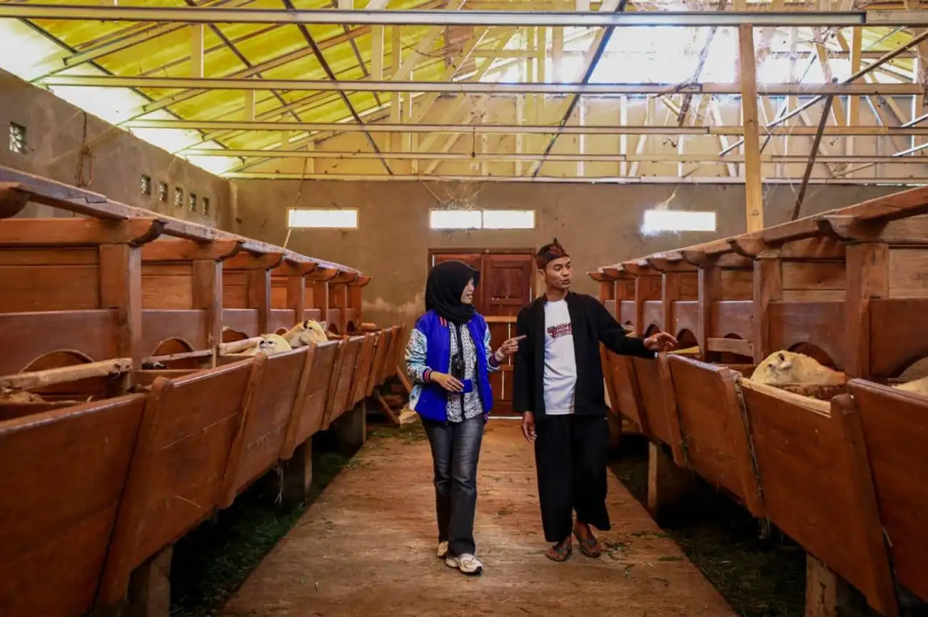 Penyaluran KUR BRI Dorong Setengah Juta Lebih Pengusaha UMKM Naik Kelas