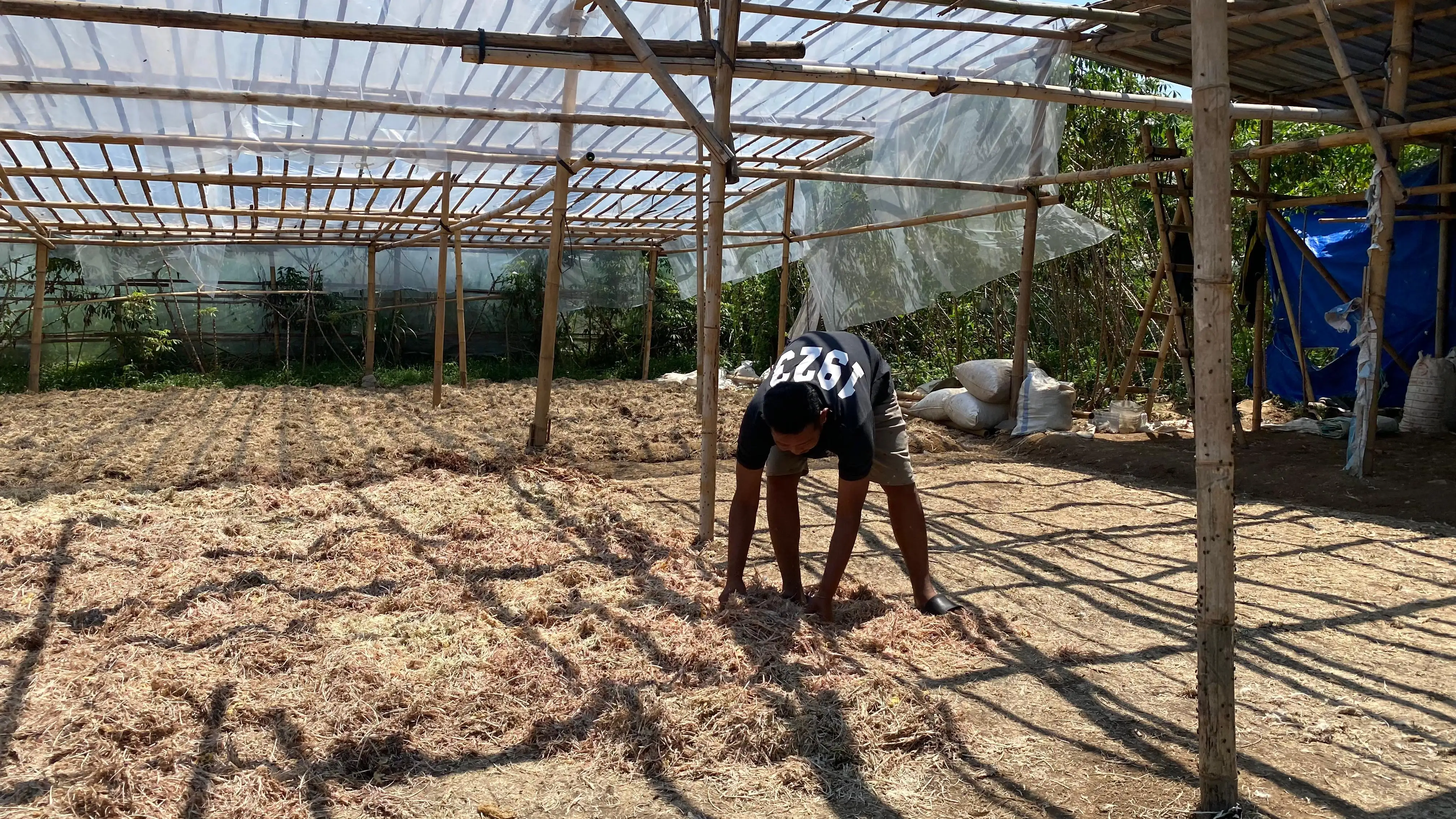 Warga Jurug Boyolali Keluhkan Bau dari Penjemuran Bulu Ayam, Ini Kata Pengelola