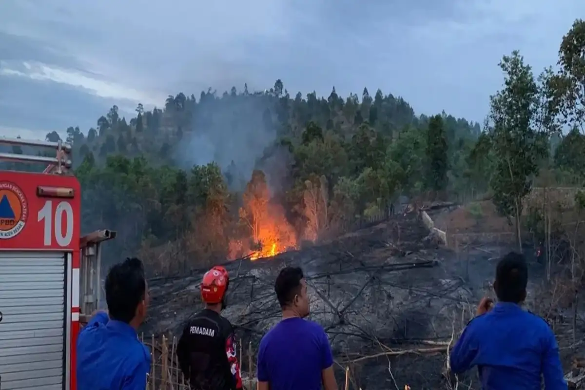 Karhutla Melanda Klaten, Sragen & Aceh Besar, BNPB Imbau Warga Waspada