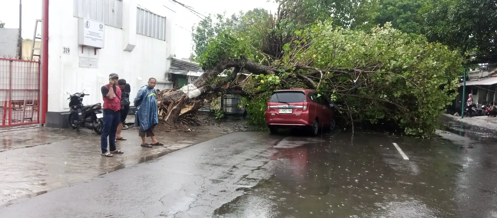 Pohon Tumbang Timpa Mobil di Jl Slamet Riyadi Kartasura, Lalin Sempat Dialihkan