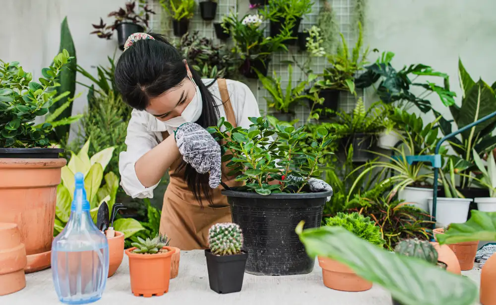 Napas Hijau di Tengah Panas Kota