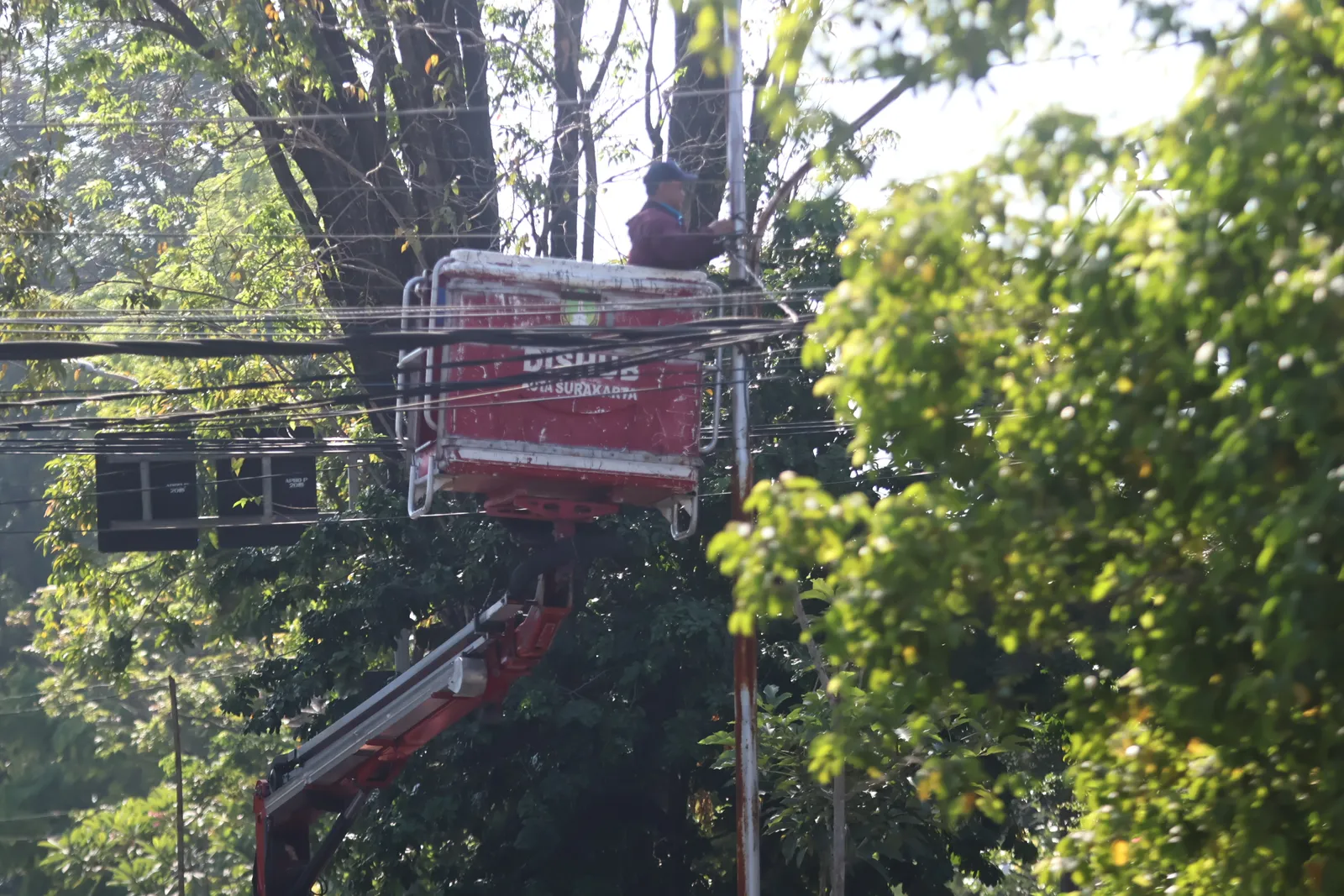 Dishub Solo Rawat Lampu Jalan demi Kenyamanan Pengendara