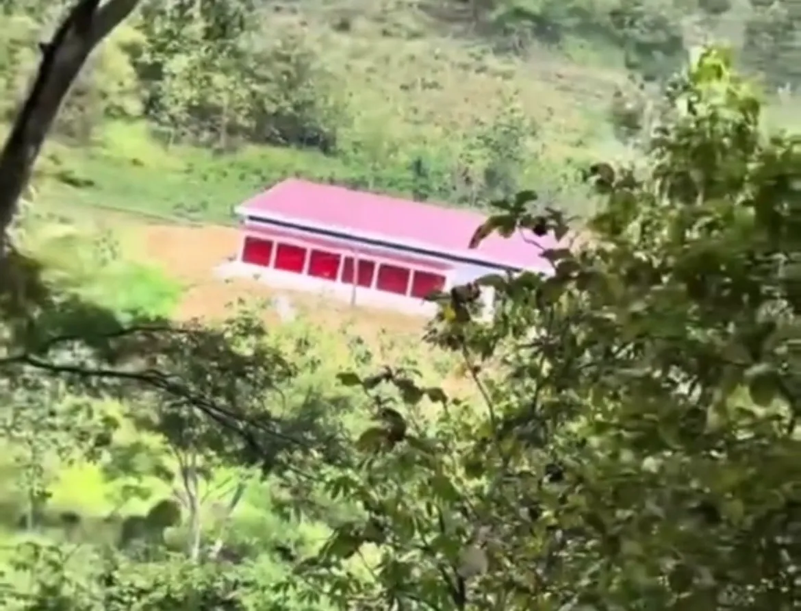 Kantor Koperasi di Tengah Hutan? Ini Faktanya! Cek Gerai KDKMP Kismantoro!