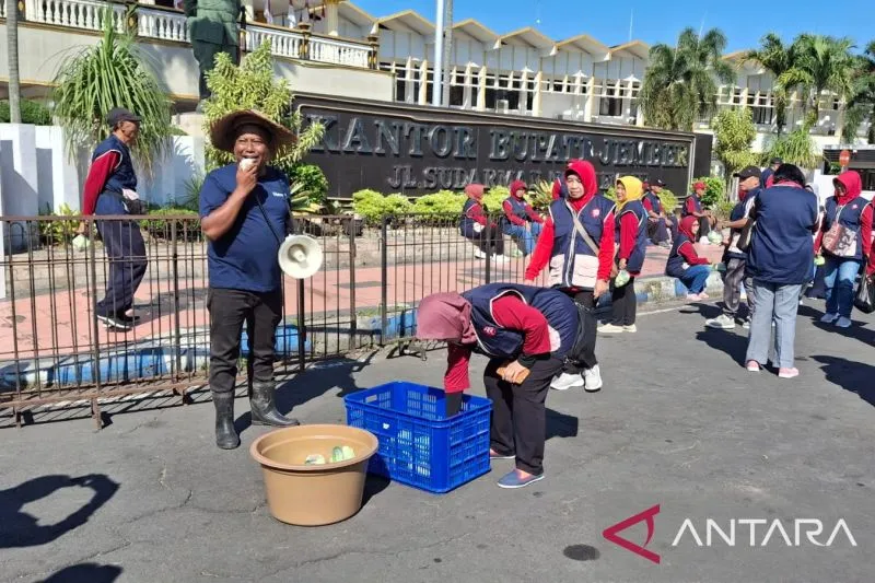 Harga Anjlok, Petani di Jember Bagikan 2 Kuintal Mentimun Gratis ke Warga