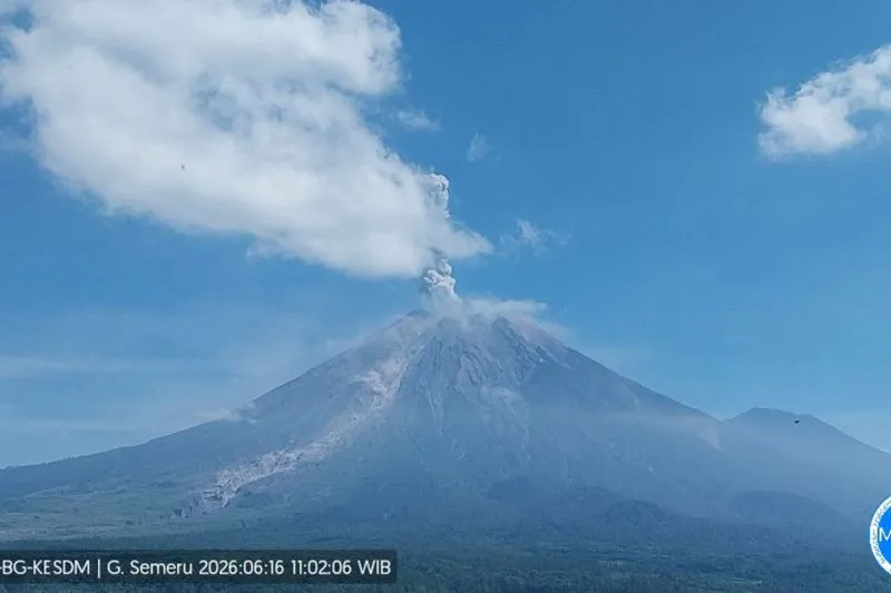 Gunung Semeru Erupsi 7 Kali Hari Ini, Letusan Tertinggi Capai 1.000 Meter