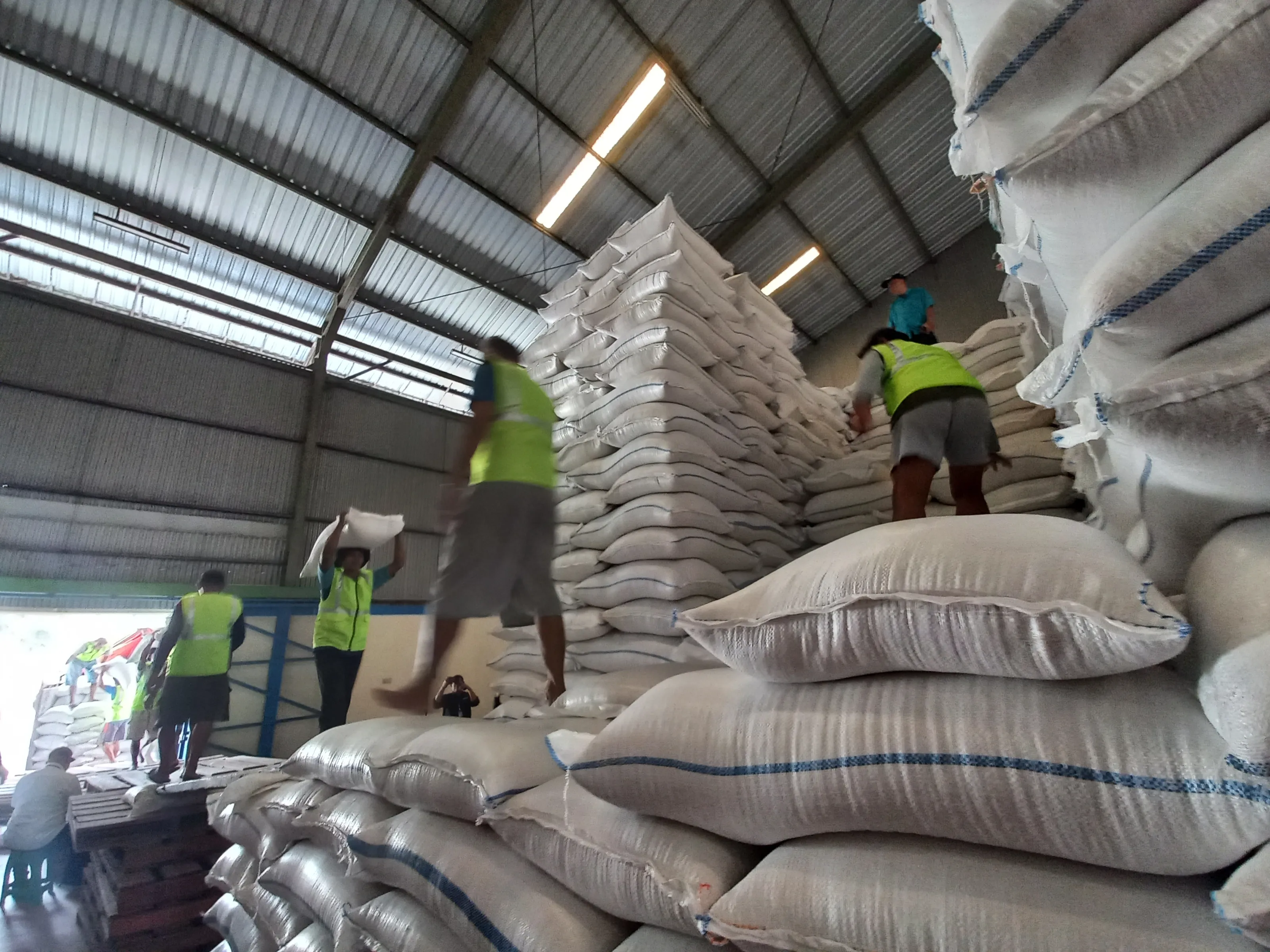 Stok Beras di Klaten Aman hingga Tahun Depan, Bulog Terus Serap Gabah