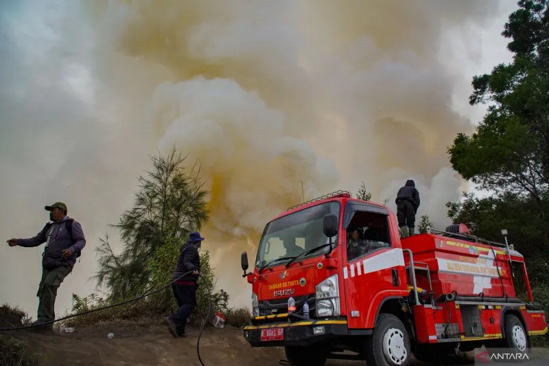 Kebakaran Gunung Bromo Meluas, BNPB: Lahan Terbakar Capai 60 Hektare