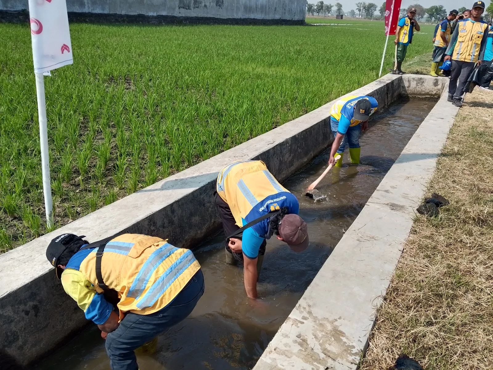 BBWS Bengawan Solo Ajak Petani Bersihkan Saluran Irigasi di Sukoharjo