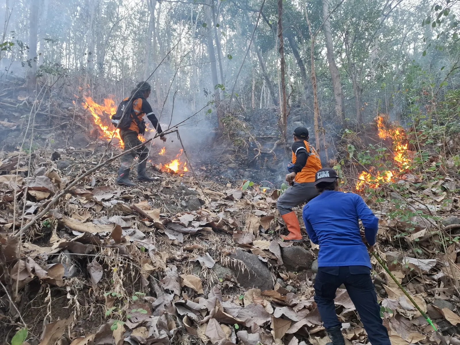 560 Hektare Hutan & Lahan di Sukoharjo Hangus Terbakar Selama Mei-September 2026