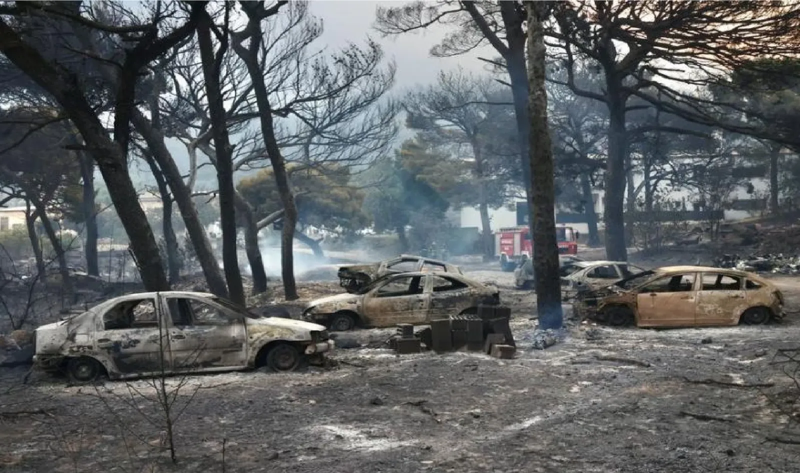 Kekeringan Ekstrem, Warga Swiss Dilarang Mencuci Mobil hingga Menyiram Taman