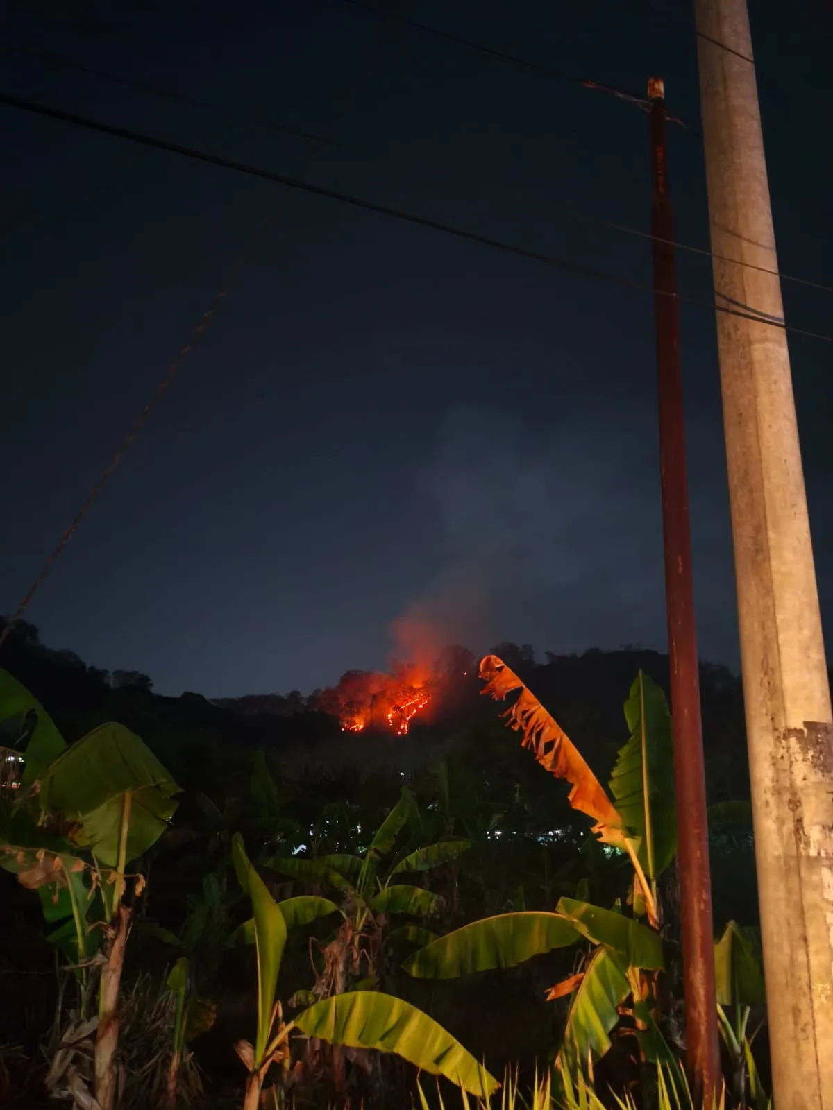 Gunung Gandul Wonogiri Terbakar 2 Kali, 4 Hektare Lahan Ludes