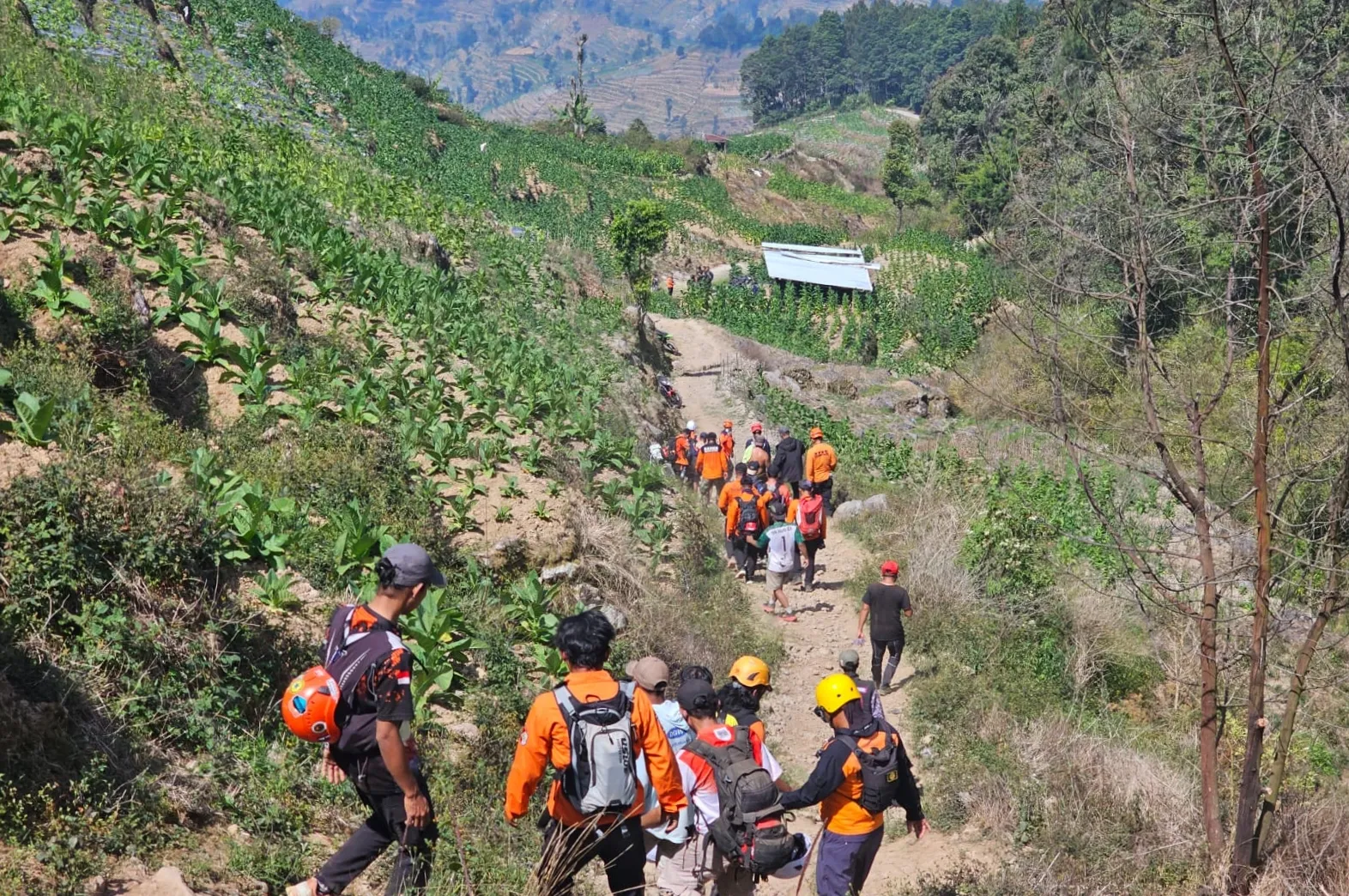 Pendaki Asal Karanganyar Meninggal Usai Jatuh di Jurang Gunung Sumbing