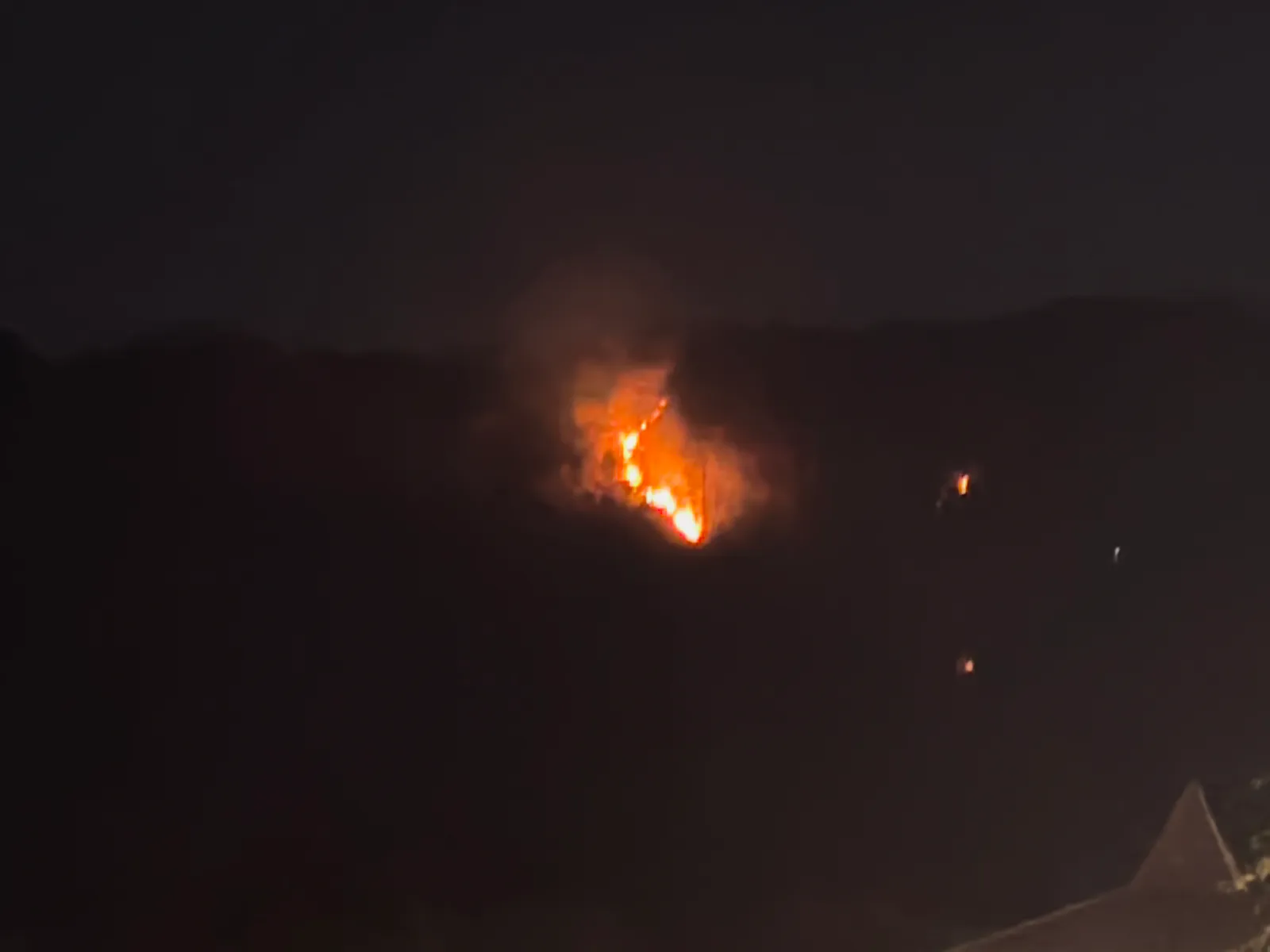 Gunung Bungkuk Magetan Kebakaran Lagi, 7 Hektare Lahan Jati Hangus