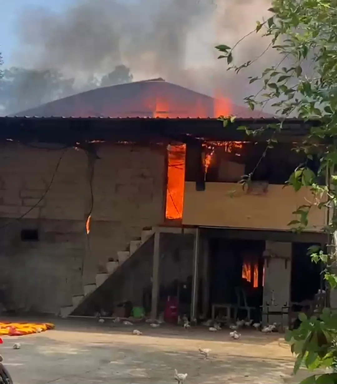 Kandang Berisi 15.000 Ayam di Karanganyar Terbakar, Kerugian Rp1,2 Miliar