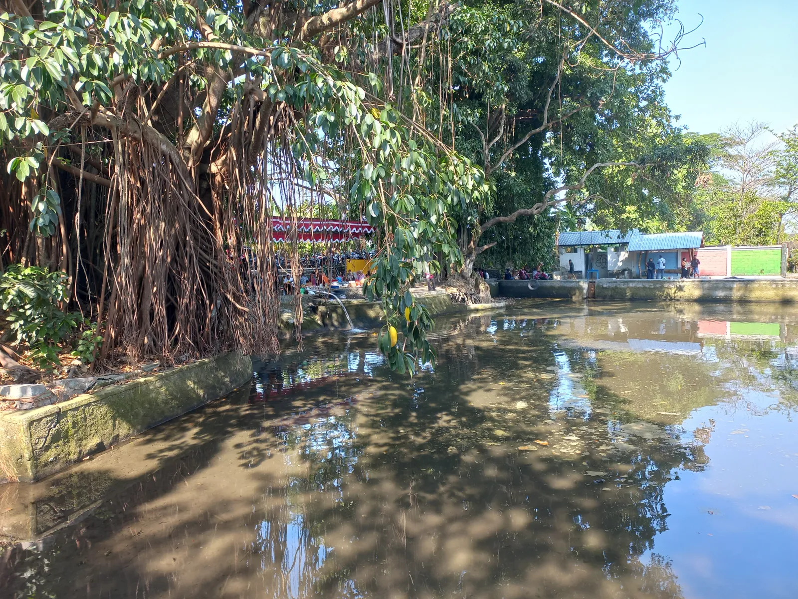 Bersih Sendang Sinongko Klaten, Gulai Kambing dan Syukur Hasil Panen