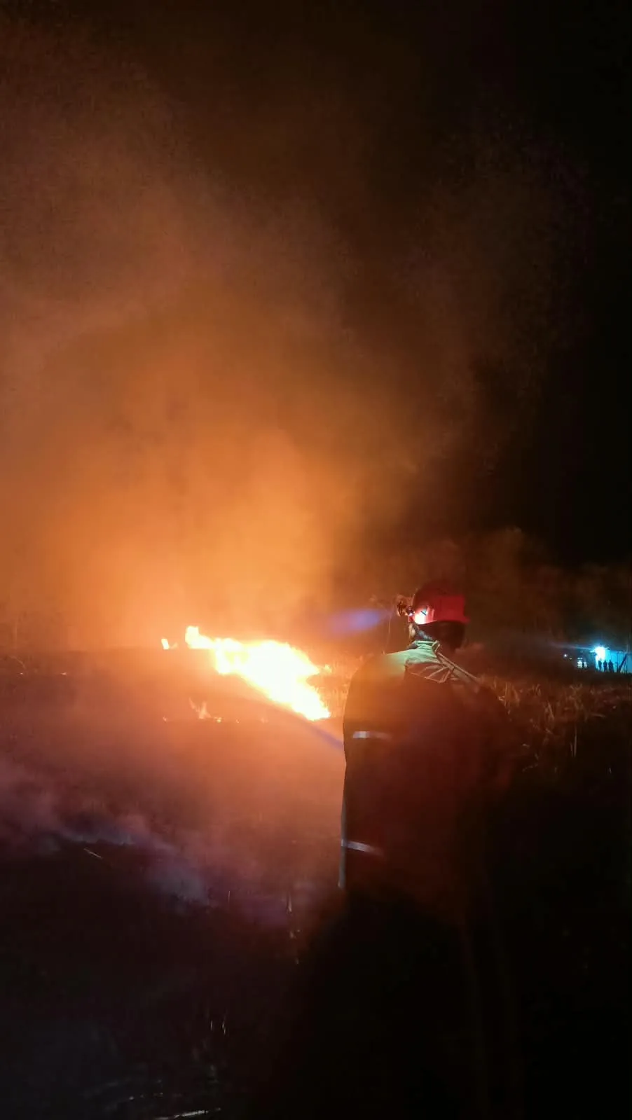 Kebakaran Kebun Tebu Terjadi di 2 Lokasi Wonogiri dalam Sehari