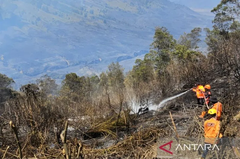 Kobaran Api di Jemplang Kawasan Gunung Bromo Dipastikan Sudah Padam