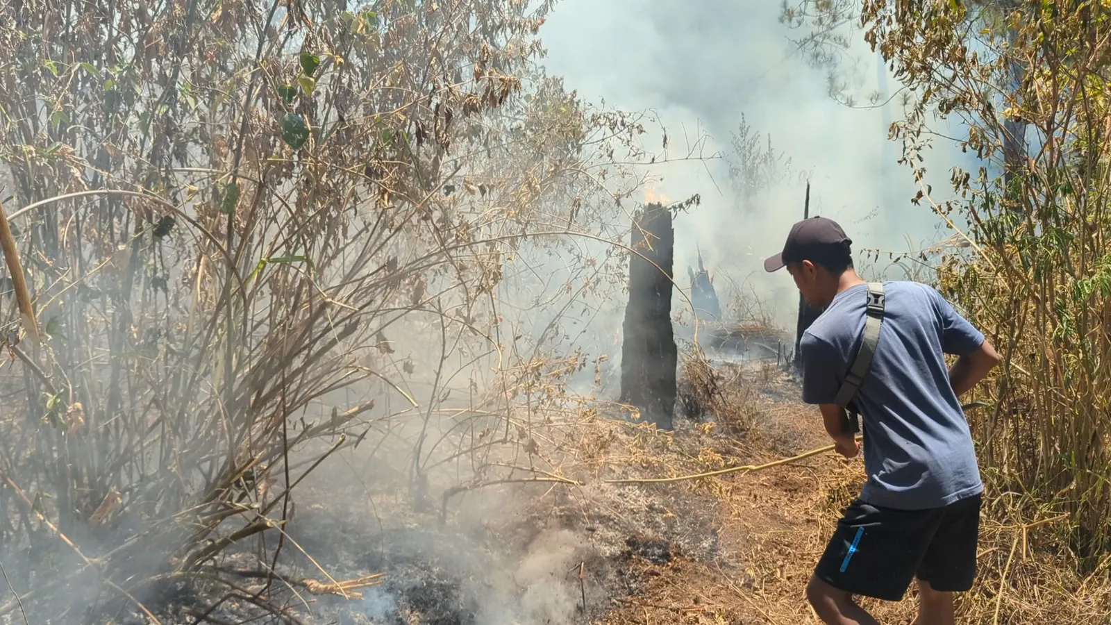 Kebakaran di Hutan Pinus Gunung Lawu Meluas, Petugas Ungkap Kendala Pemadaman