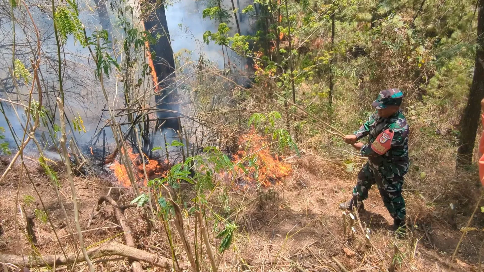 Titik Api di Gunung Lawu, Jalur Pendakian Via Cetho Karanganyar Ikut Ditutup