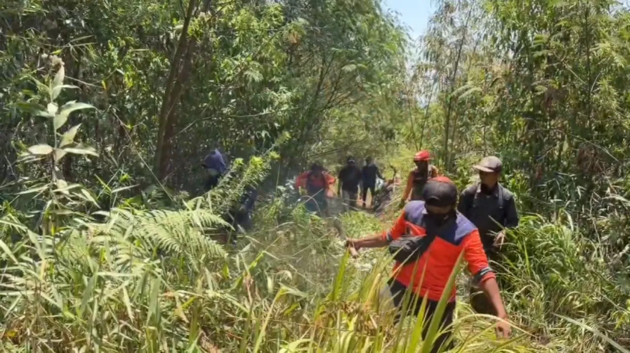 Kebakaran Gunung Lawu Merambat ke Ngawi, Sekat Bakar Capai 1,3 Km