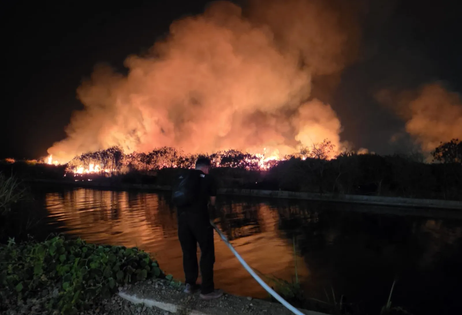 Lahan 10 Hektare Dekat Mall 23 Semarang Terbakar, Diduga Dipicu Orang Mabuk