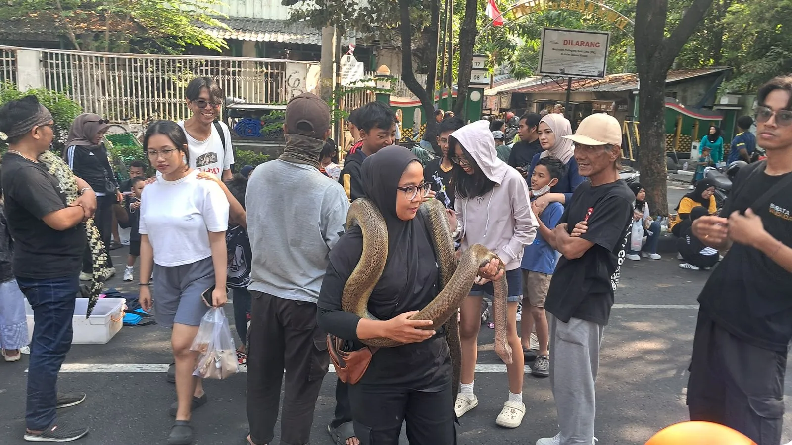 Tak Selalu Menakutkan, Intip Tren dan Syarat Pelihara Ular ala KREZS Solo