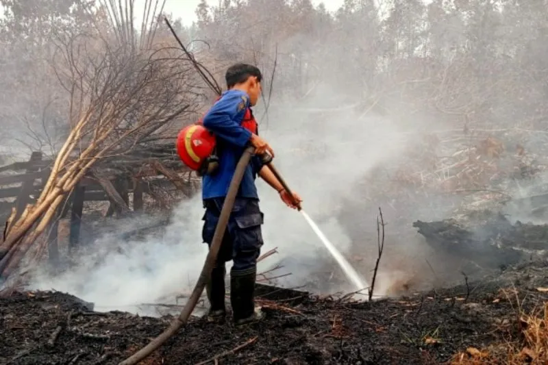 Kemenhut Cabut Izin 5 Perusahaan terkait Kebakaran Hutan dan Lahan